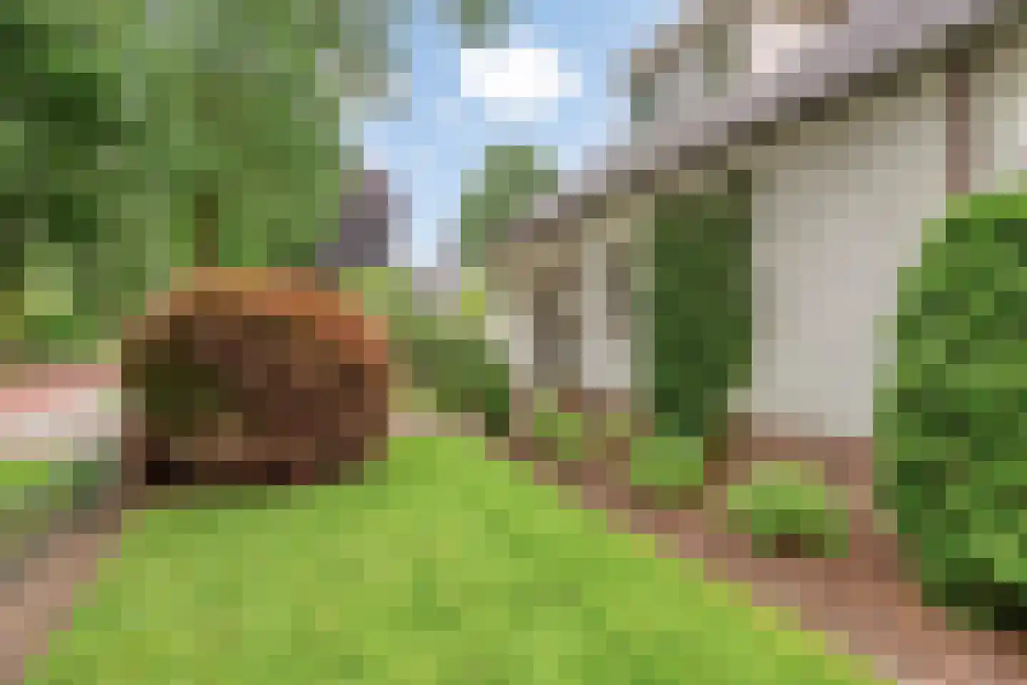 Kozakkenlaan 6 Warnsveld thumbnail 14