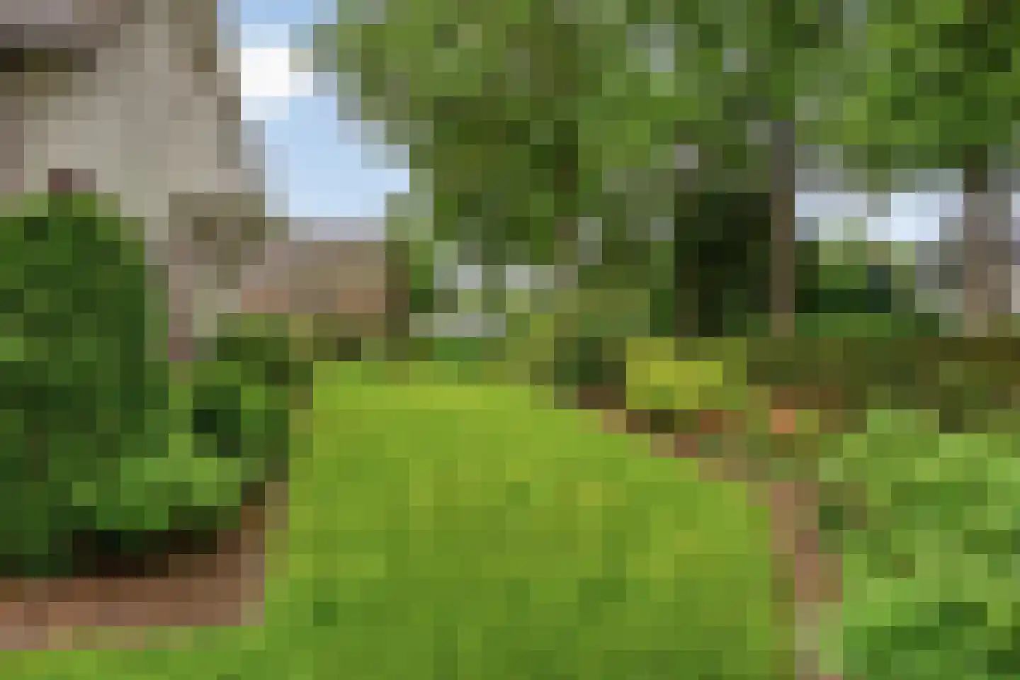 Kozakkenlaan 6 Warnsveld thumbnail 15