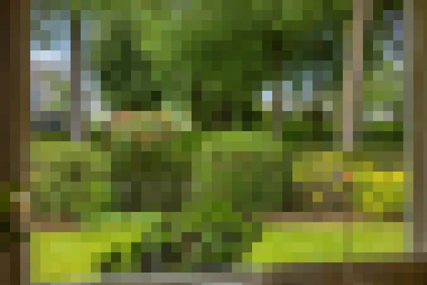Kozakkenlaan 6 Warnsveld thumbnail 22