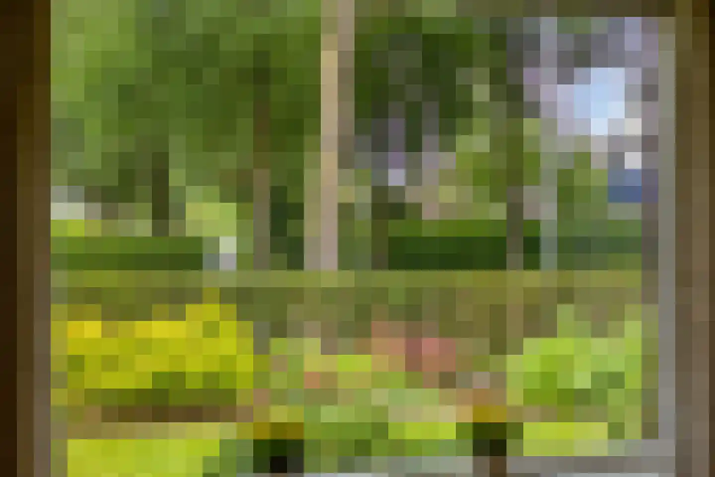 Kozakkenlaan 6 Warnsveld thumbnail 25