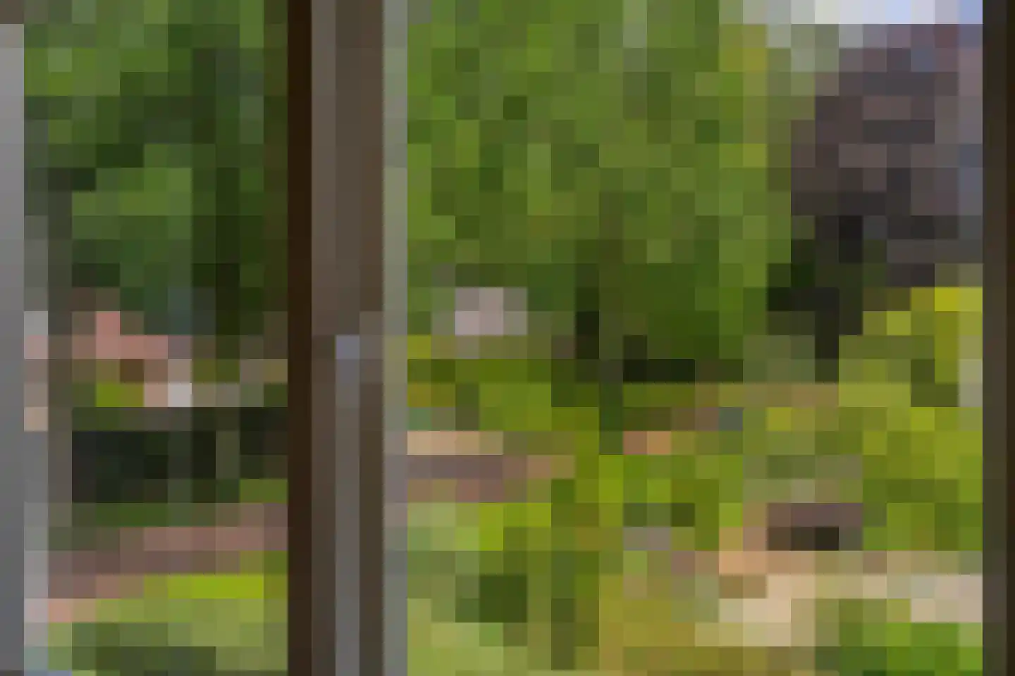 Kozakkenlaan 6 Warnsveld thumbnail 43