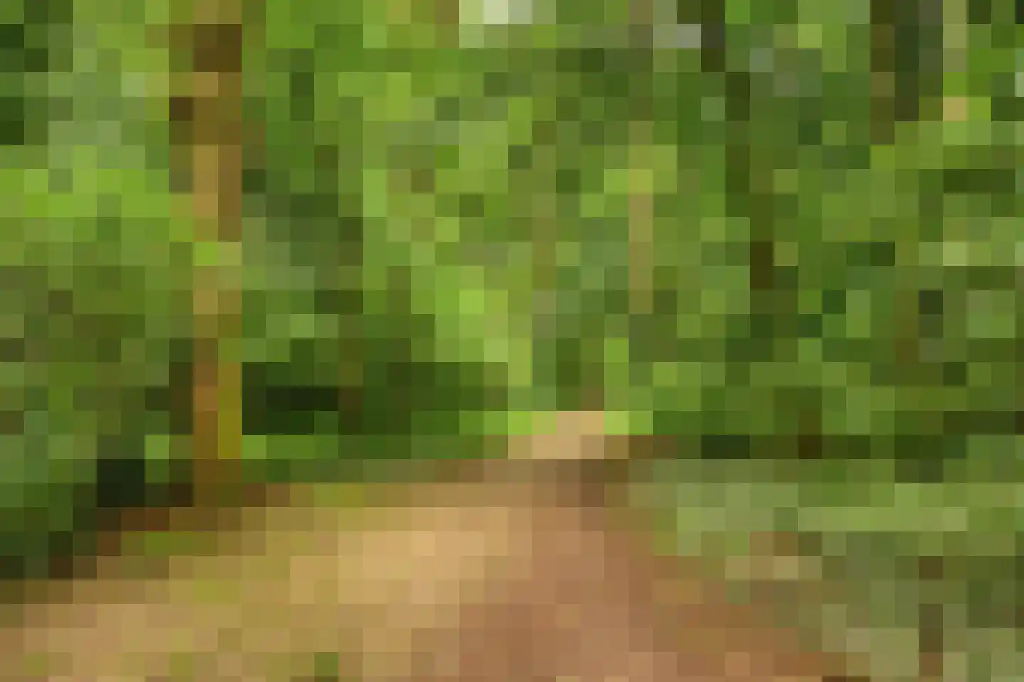 Kozakkenlaan 6 Warnsveld thumbnail 46
