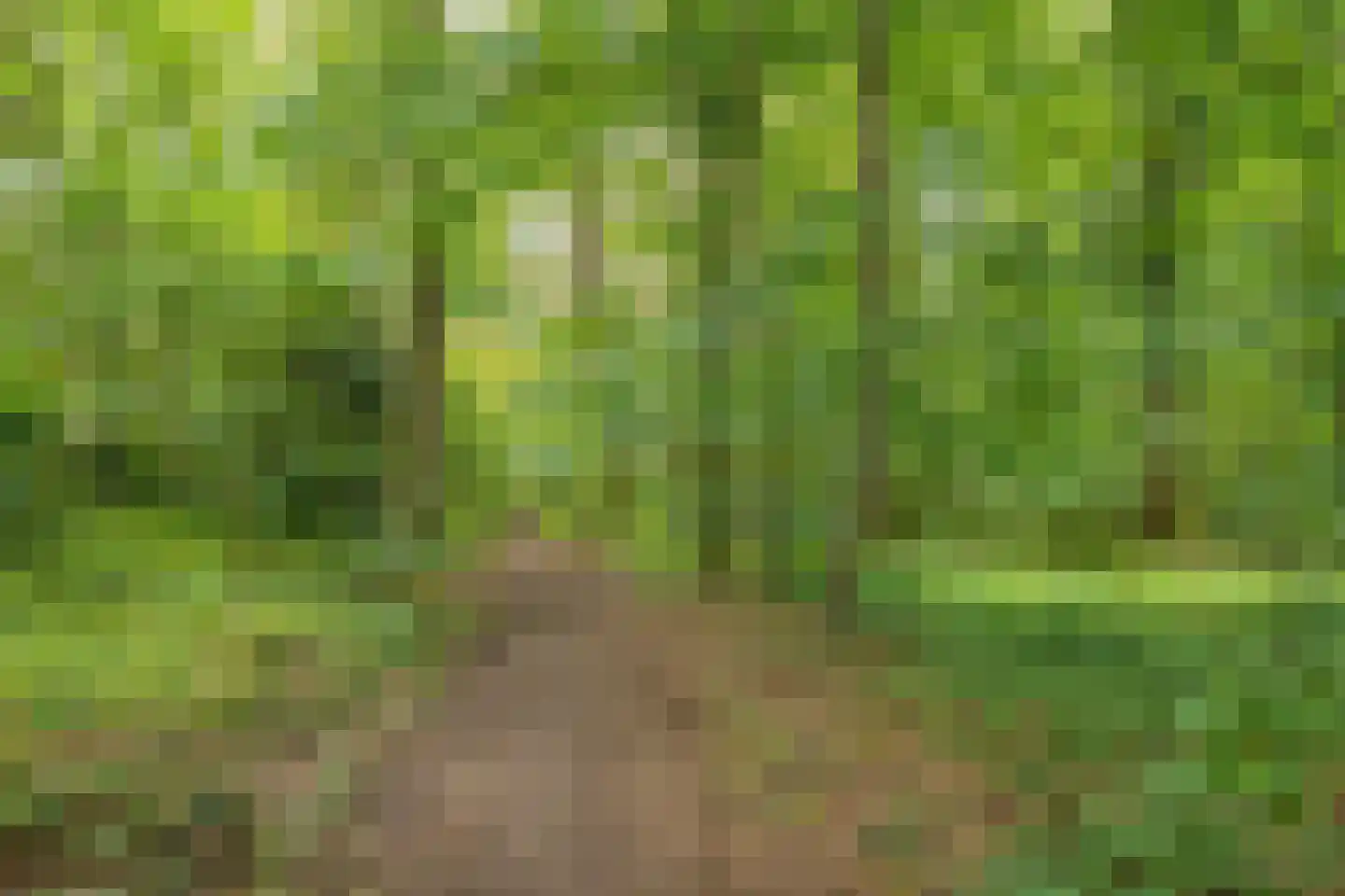 Kozakkenlaan 6 Warnsveld thumbnail 47