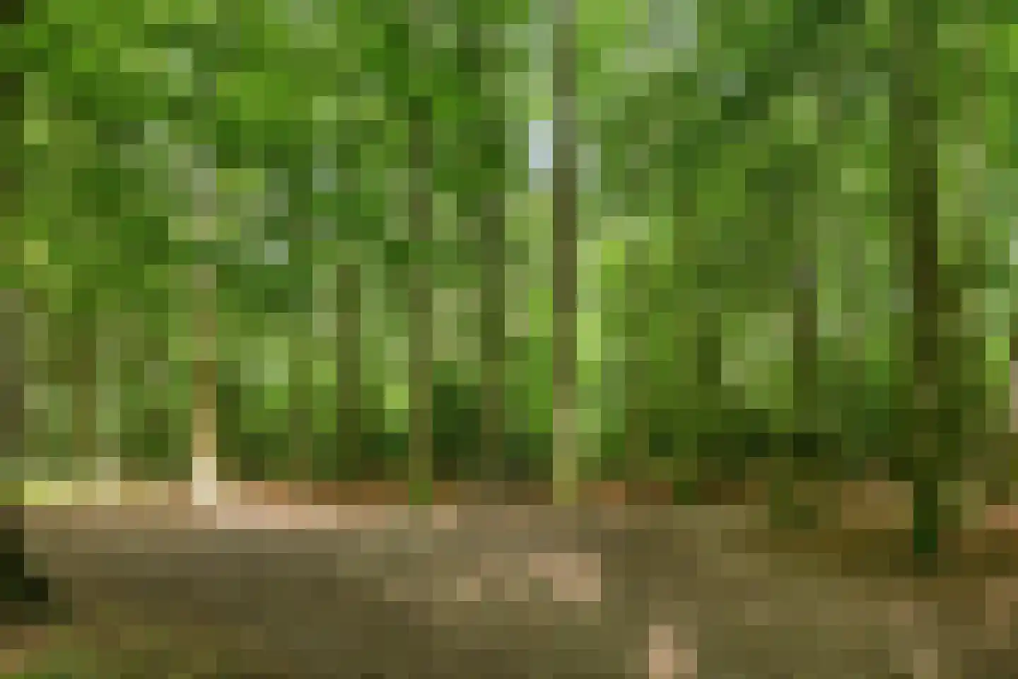 Kozakkenlaan 6 Warnsveld thumbnail 48