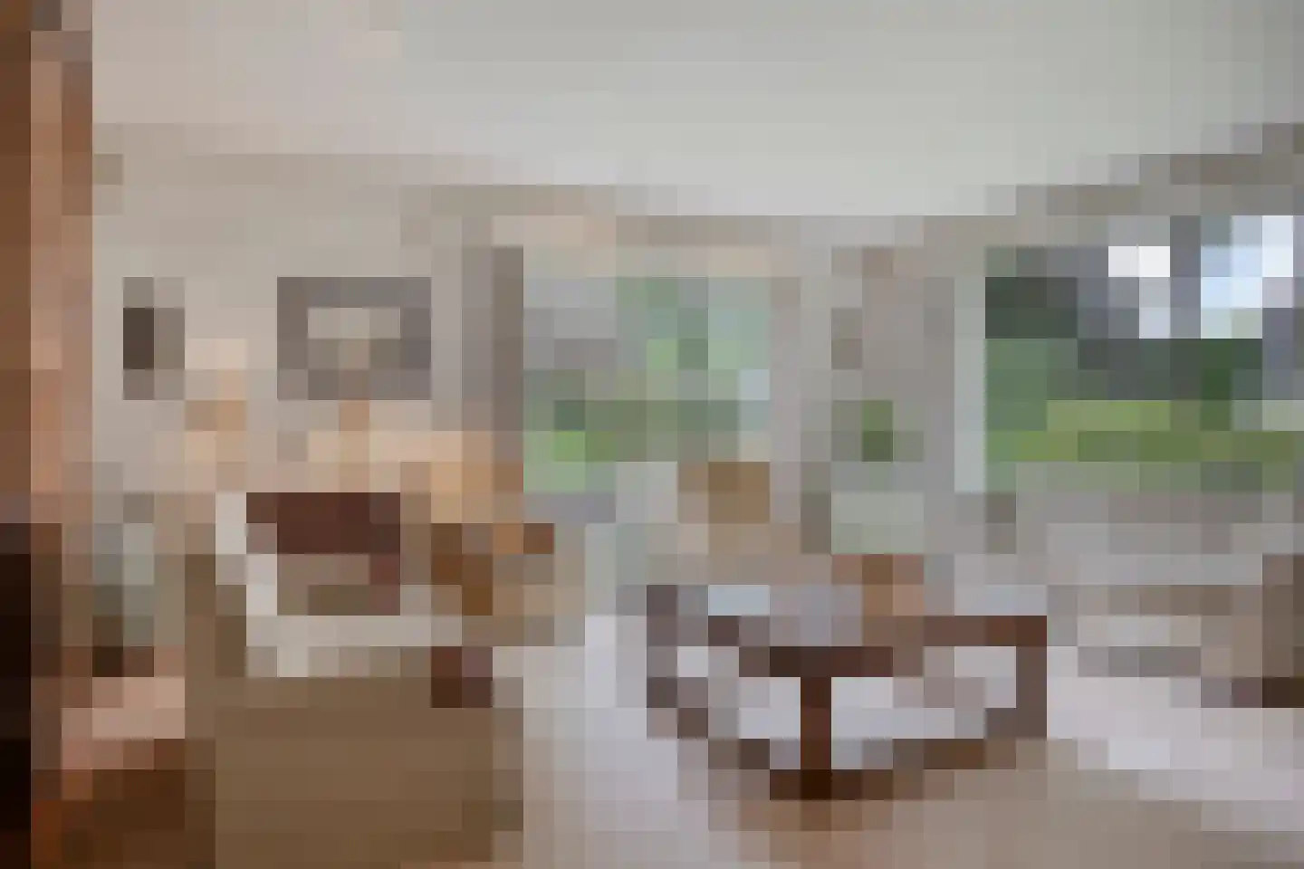 Kozakkenlaan 6 Warnsveld thumbnail 5