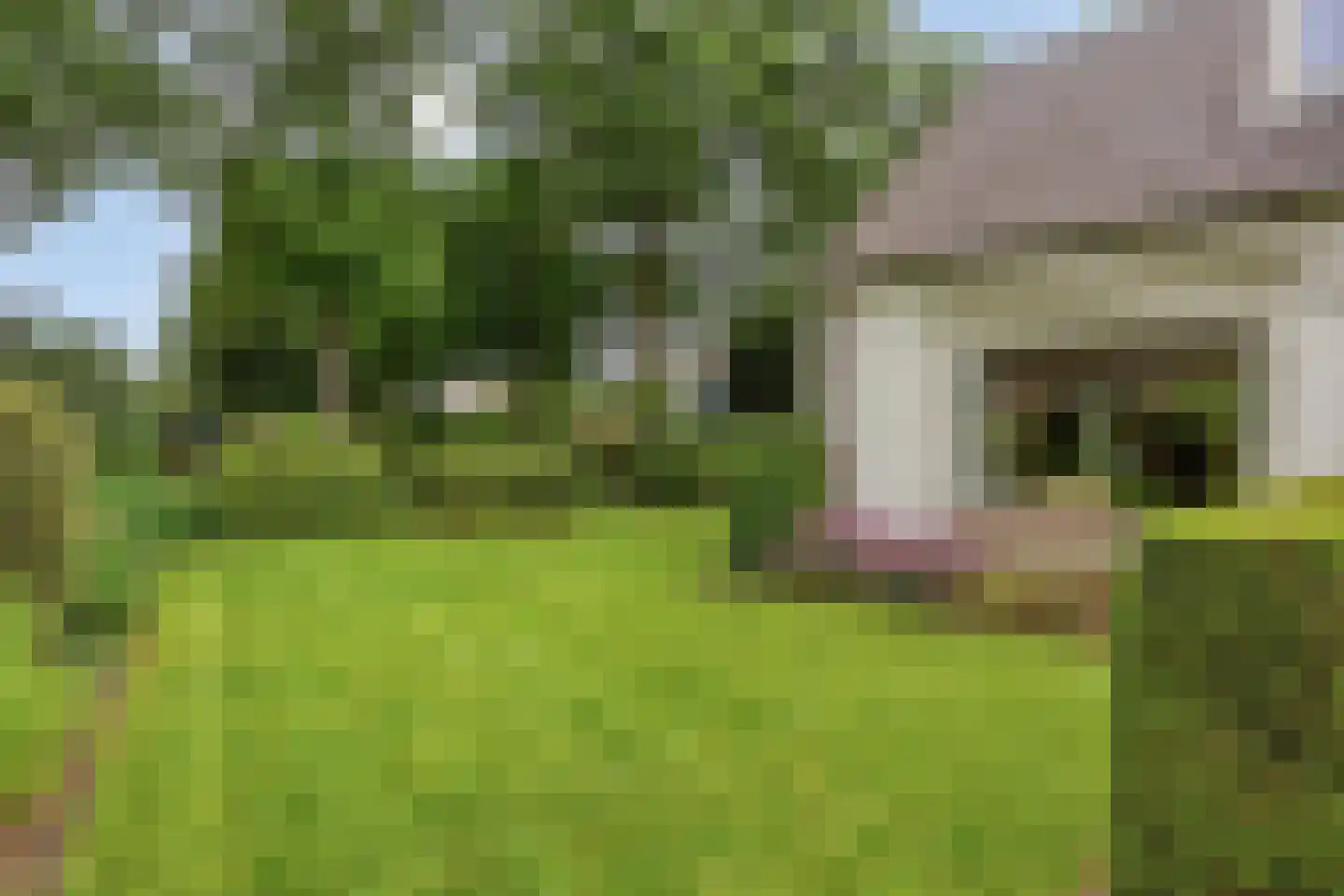 Kozakkenlaan 6 Warnsveld thumbnail 7