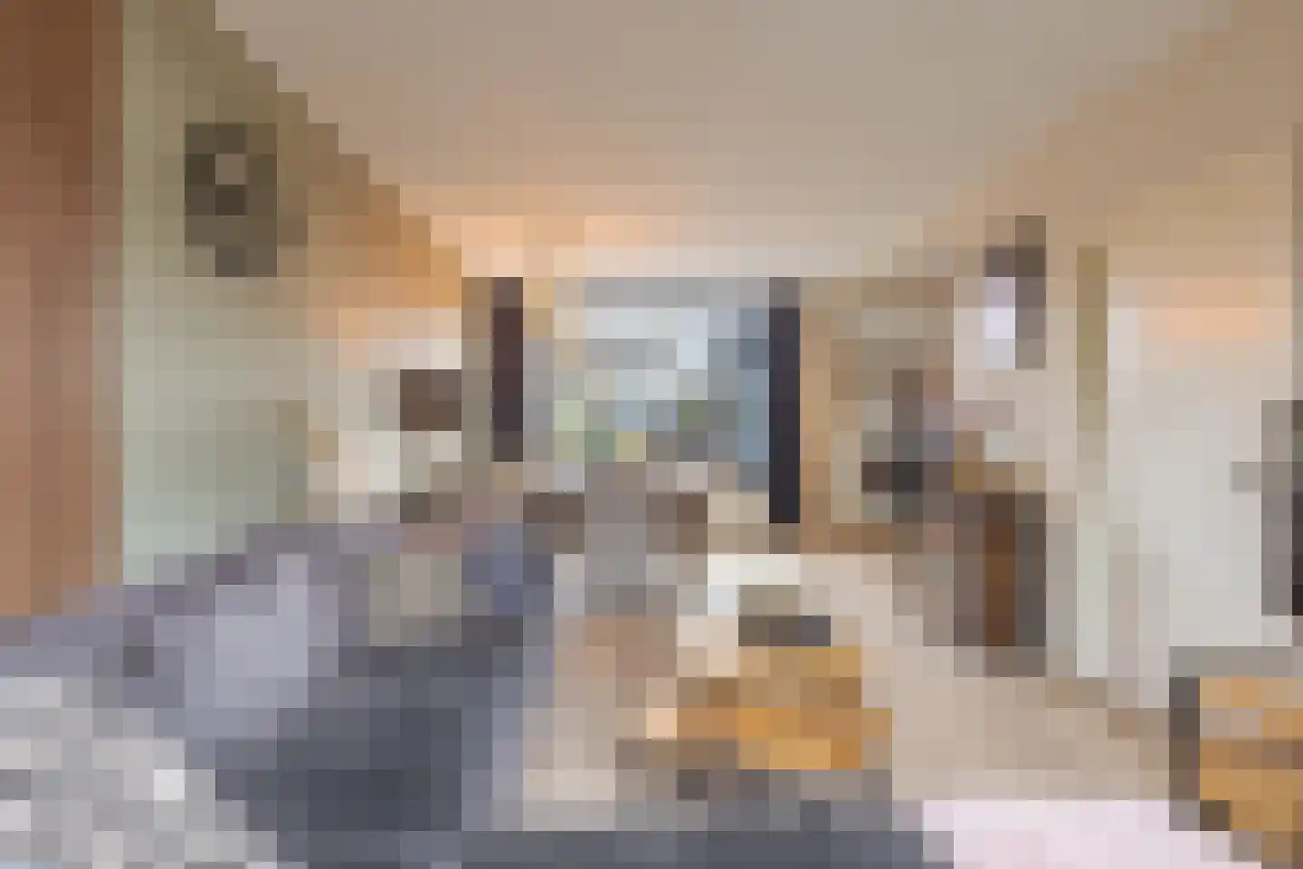 Kozakkenstraat 70 Holten thumbnail 10