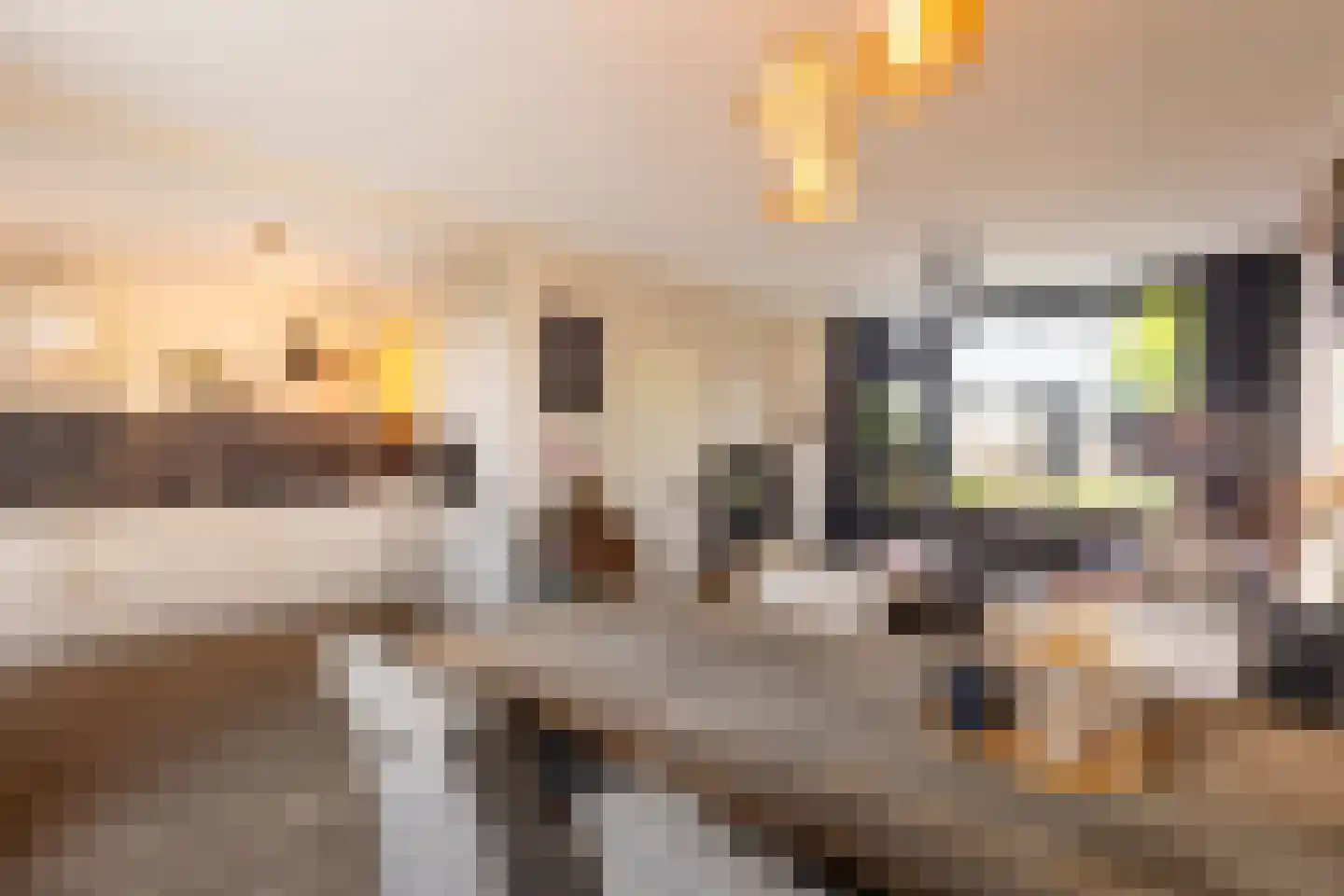 Kozakkenstraat 70 Holten thumbnail 14