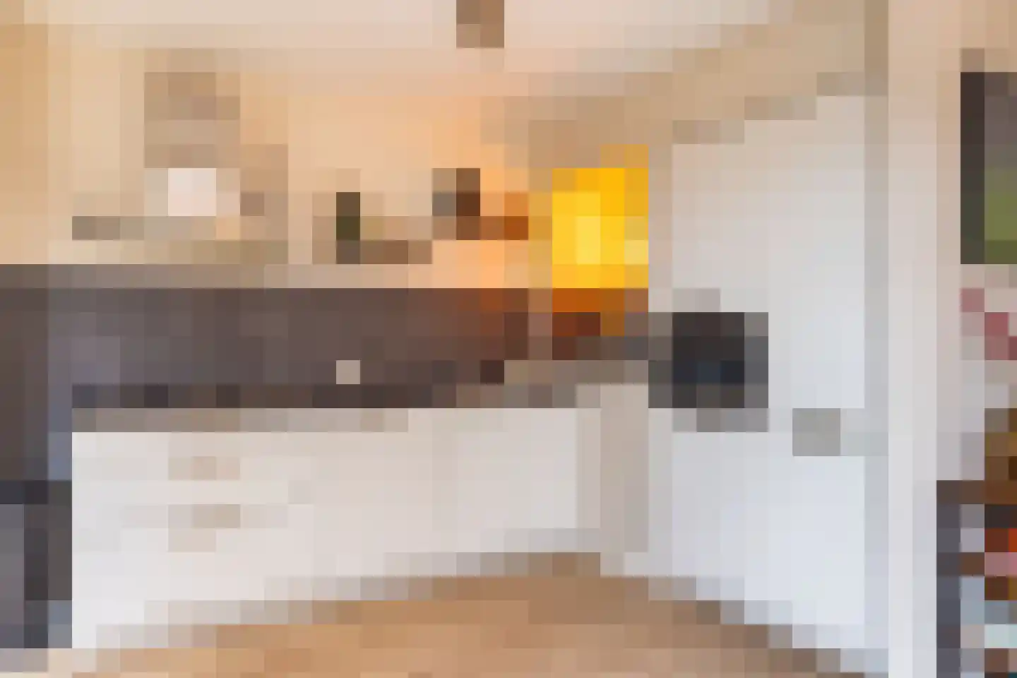 Kozakkenstraat 70 Holten thumbnail 15