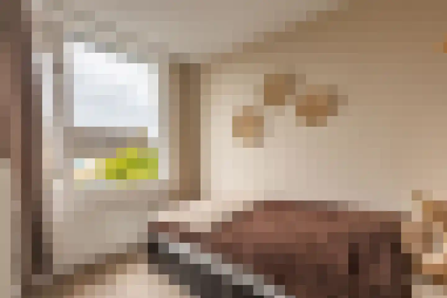Kozakkenstraat 70 Holten thumbnail 22