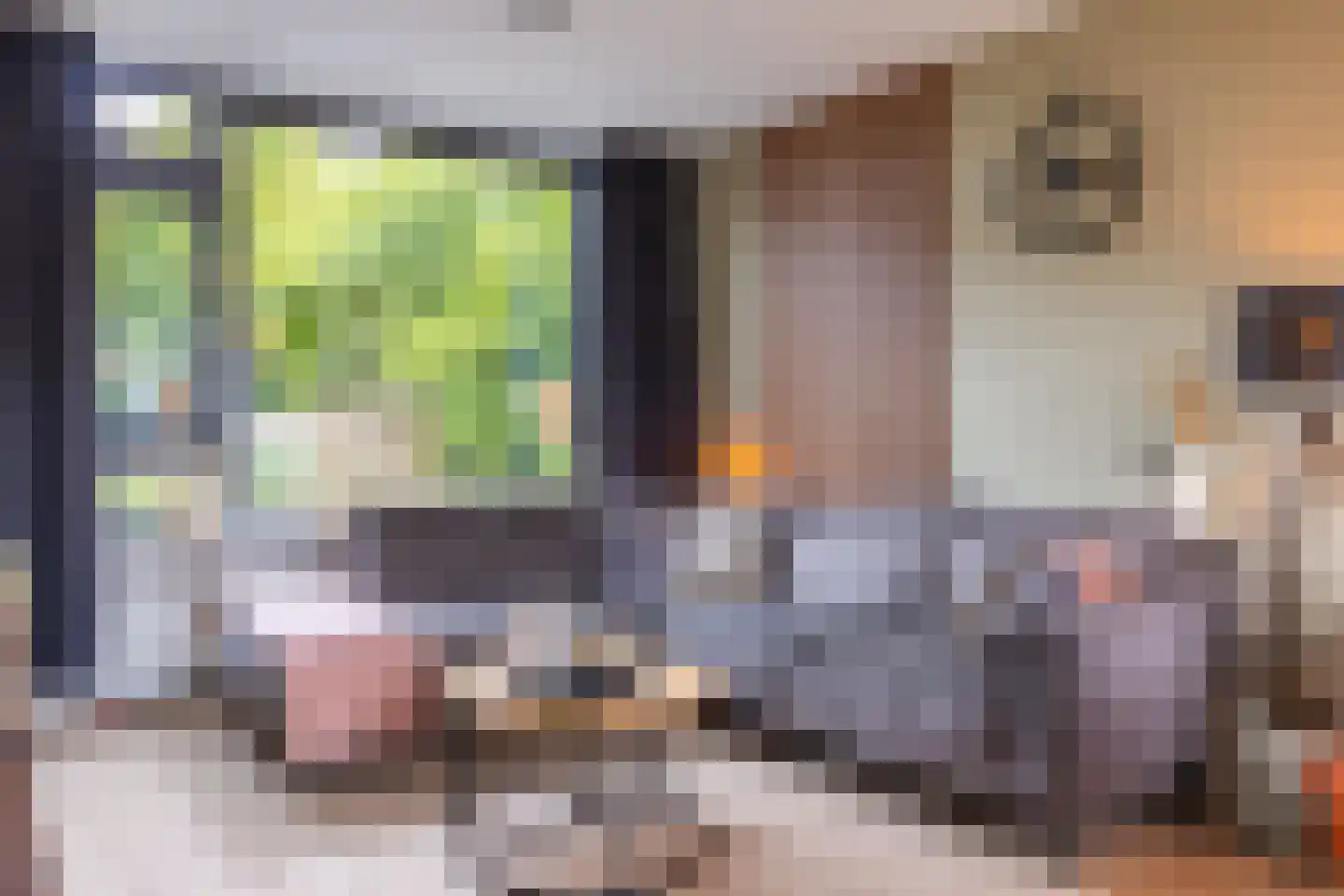 Kozakkenstraat 70 Holten thumbnail 8