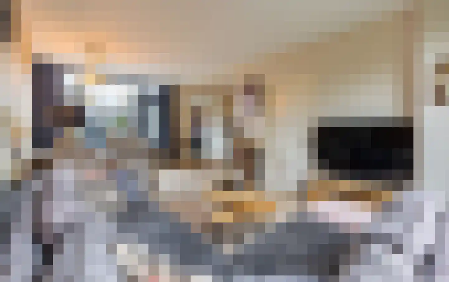 Kozakkenstraat 70 Holten thumbnail 9