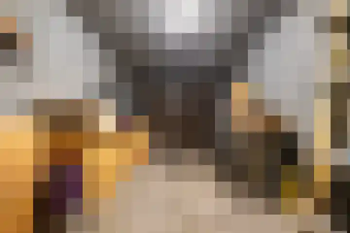 Kozakkenweg 25 Veenendaal thumbnail 33