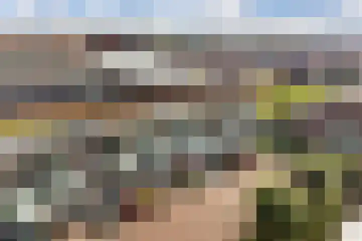 Kozakkenweg 25 Veenendaal thumbnail 35