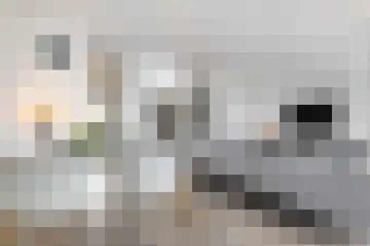 Kozakkenweg 25 Veenendaal thumbnail 8