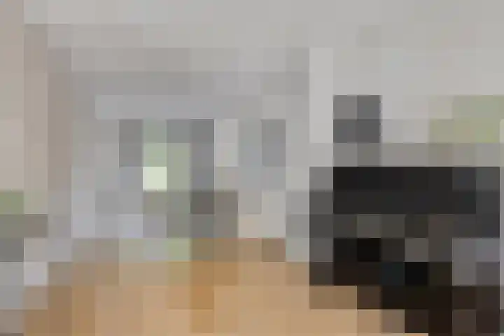 Kozakkenweg 8 Veenendaal thumbnail 12