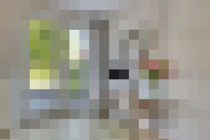 Kozakkenweg 8 Veenendaal thumbnail 13