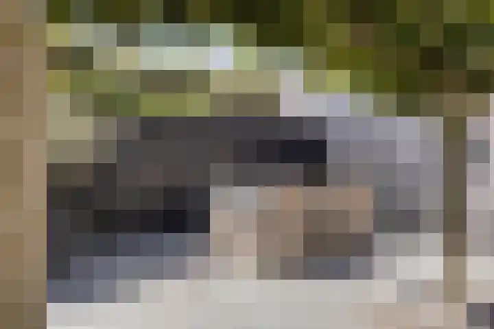 Kozakkenweg 8 Veenendaal thumbnail 31