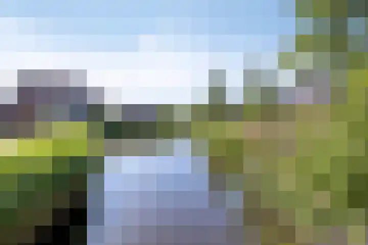 Kozakkenweg 8 Veenendaal thumbnail 33