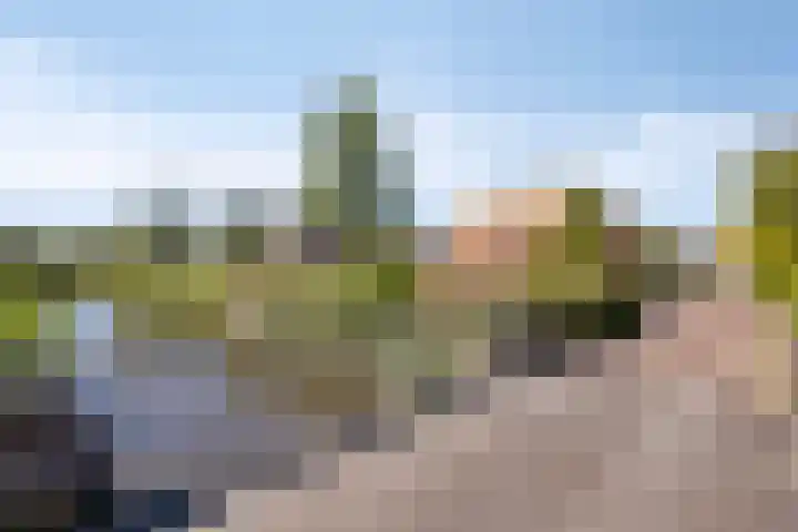 Kozakkenweg 8 Veenendaal thumbnail 34