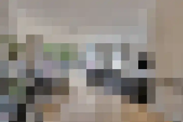 Kozakkenweg 8 Veenendaal thumbnail 8