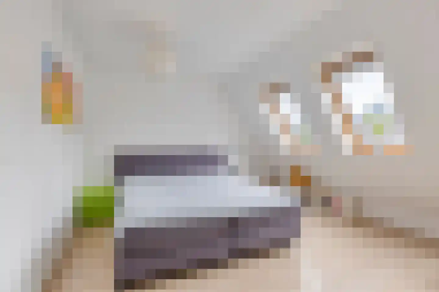 Kraagbeer 7 Heerhugowaard thumbnail 16
