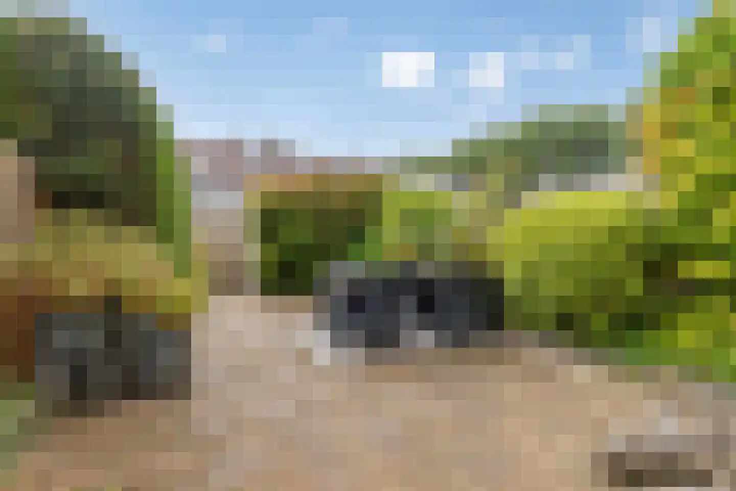 Kraagbeer 7 Heerhugowaard thumbnail 27