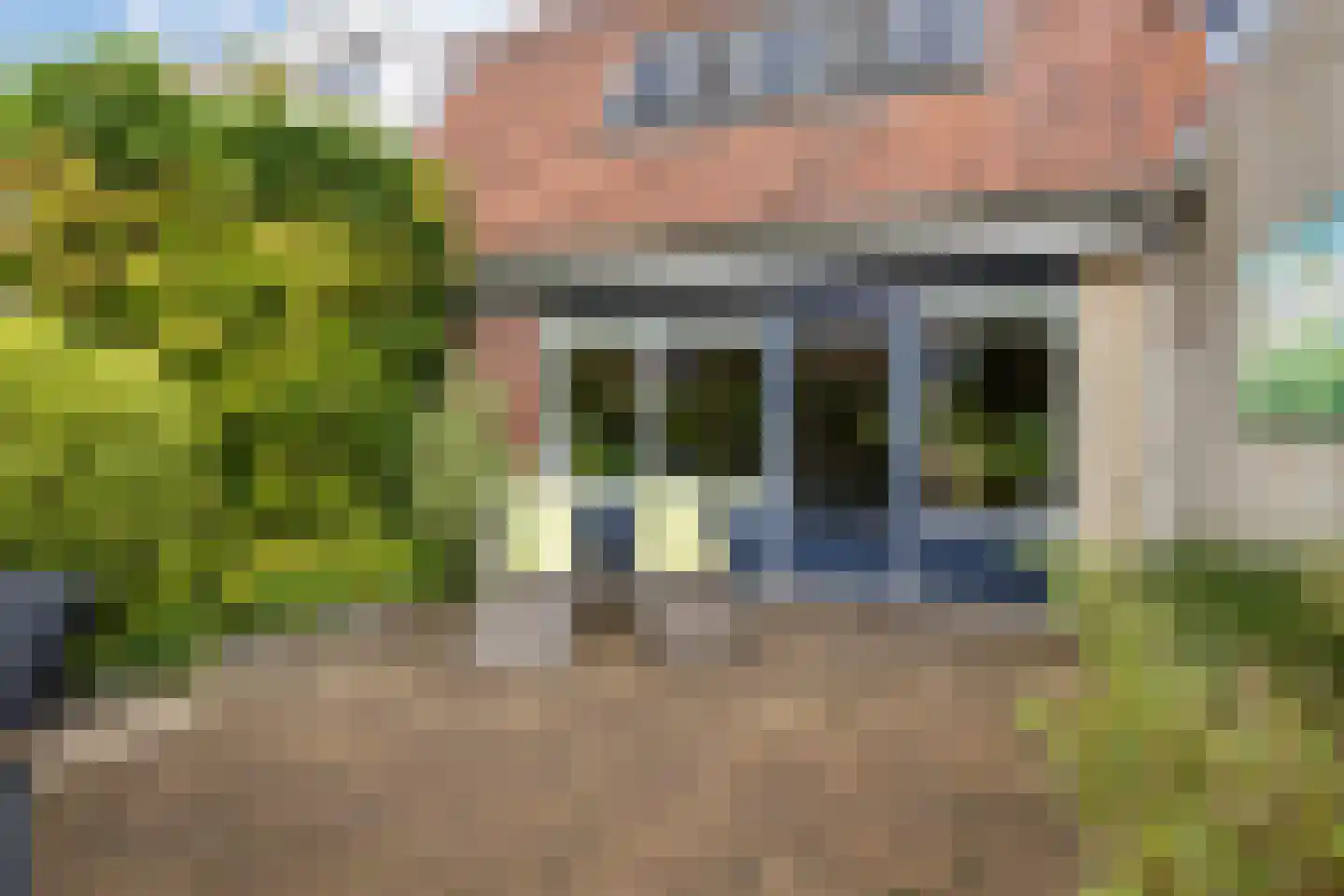 Kraagbeer 7 Heerhugowaard thumbnail 28