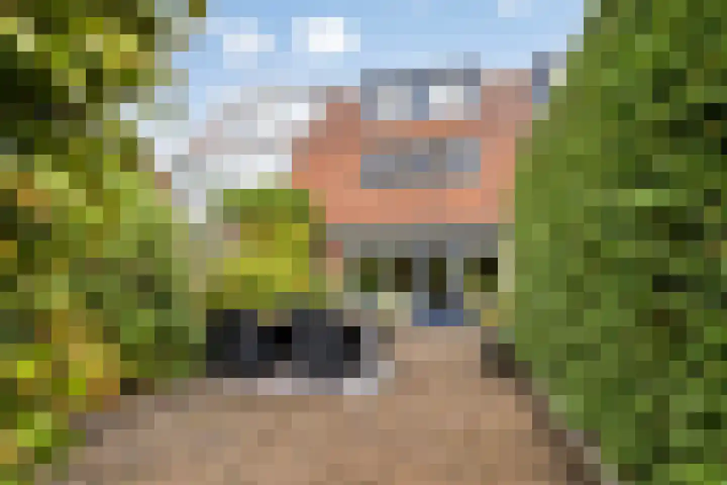 Kraagbeer 7 Heerhugowaard thumbnail 29