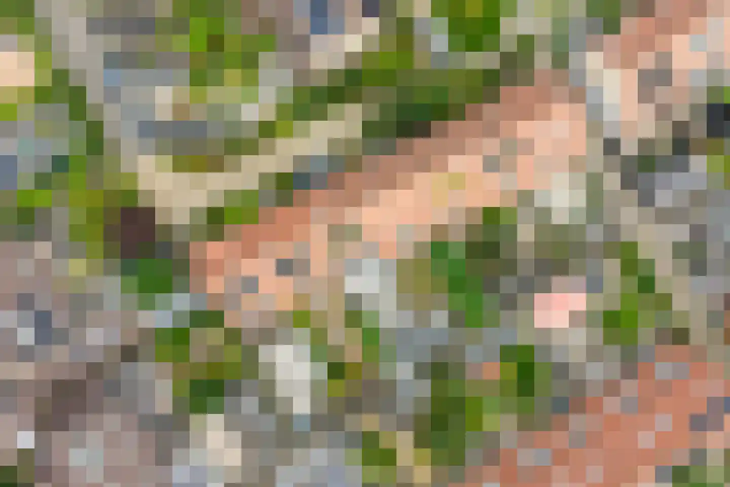 Kraagbeer 7 Heerhugowaard thumbnail 31
