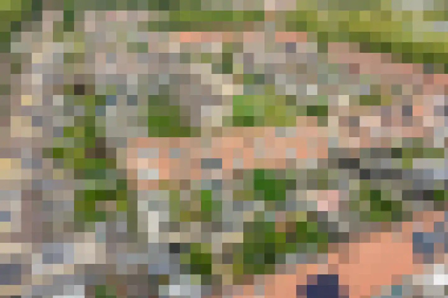 Kraagbeer 7 Heerhugowaard thumbnail 32