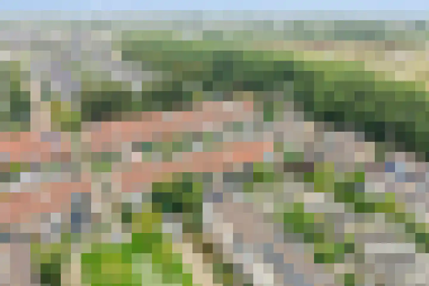 Kraagbeer 7 Heerhugowaard thumbnail 33