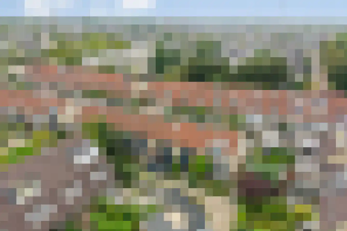 Kraagbeer 7 Heerhugowaard thumbnail 34