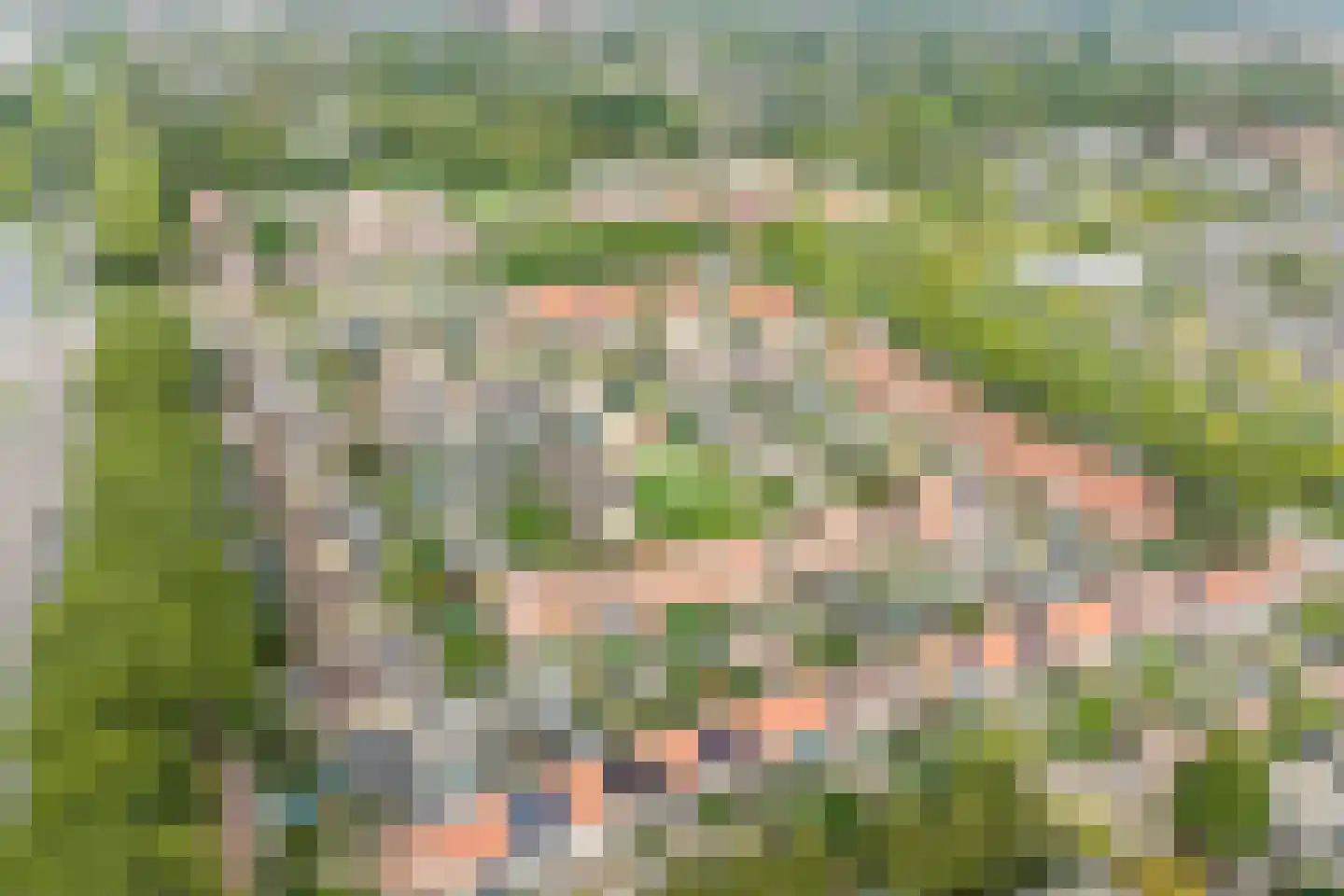 Kraagbeer 7 Heerhugowaard thumbnail 35