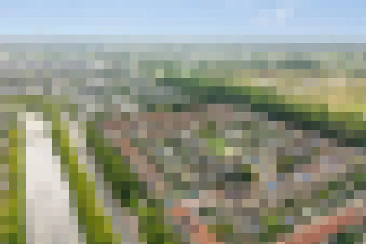 Kraagbeer 7 Heerhugowaard thumbnail 36