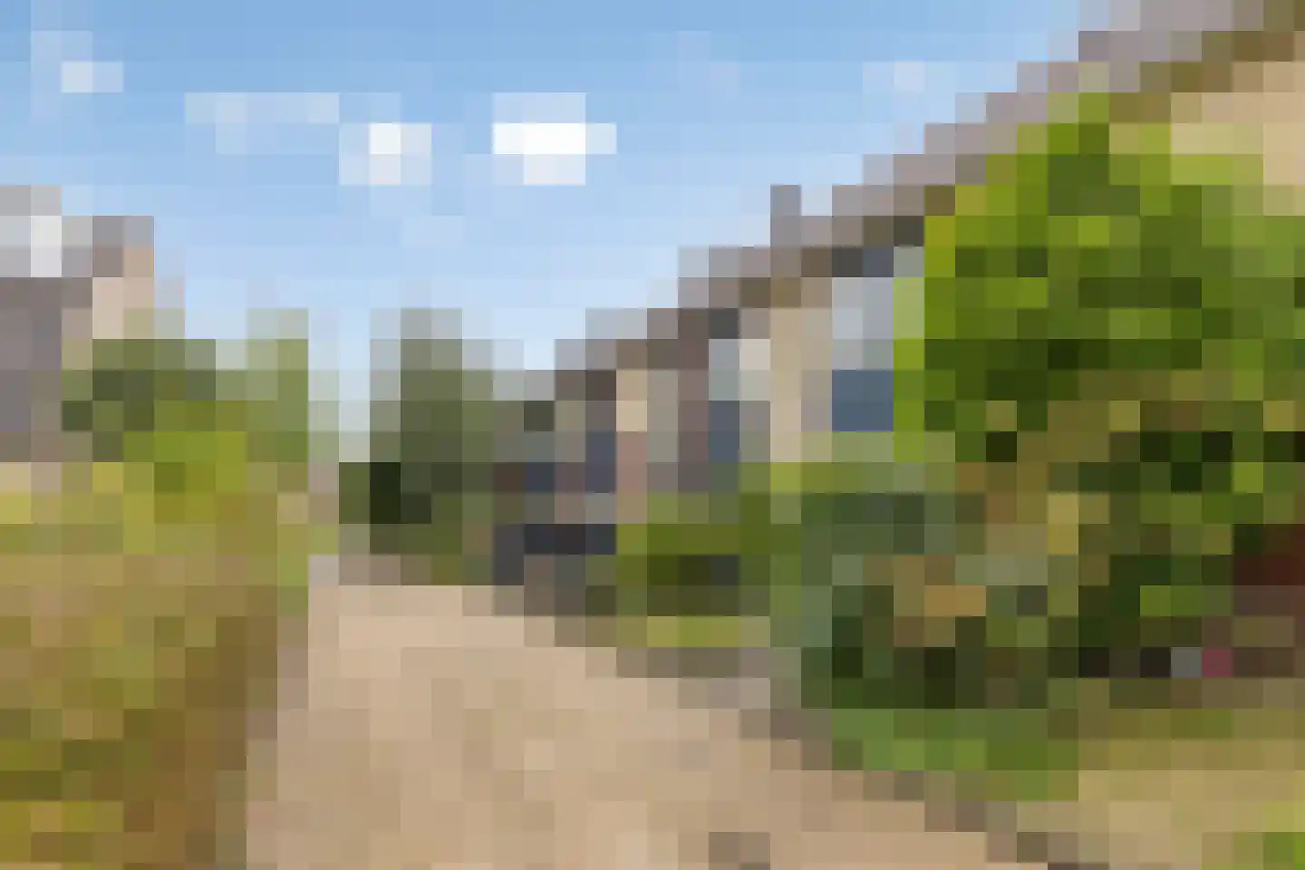 Kraagbeer 7 Heerhugowaard thumbnail 39