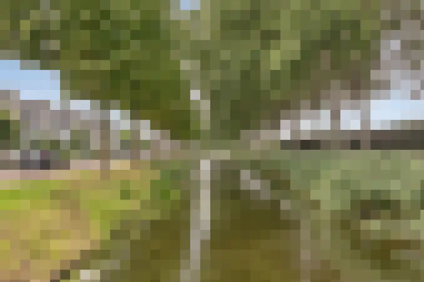 Kraagbeer 7 Heerhugowaard thumbnail 42