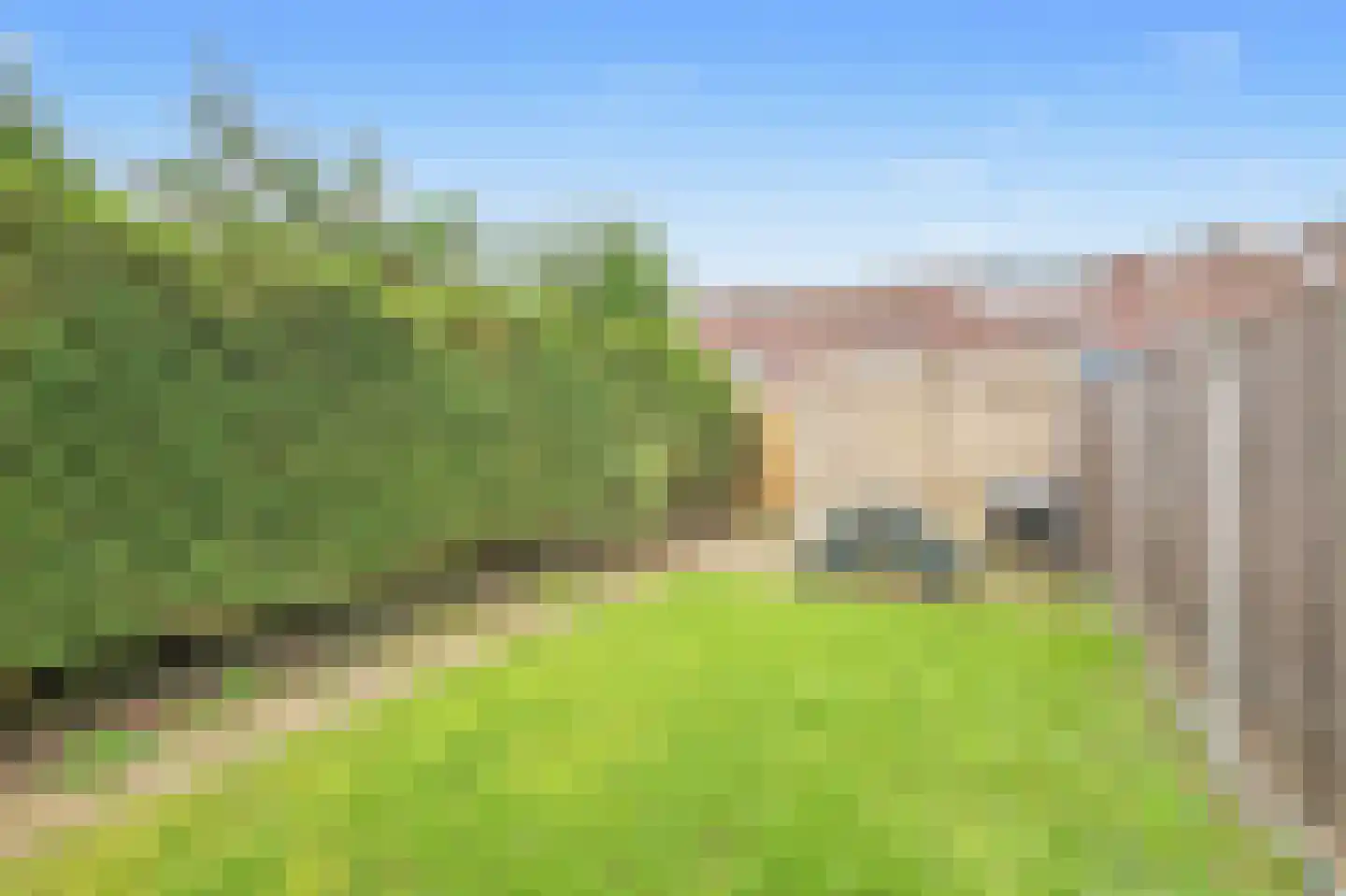 Kraagbeer 9 Heerhugowaard thumbnail 30