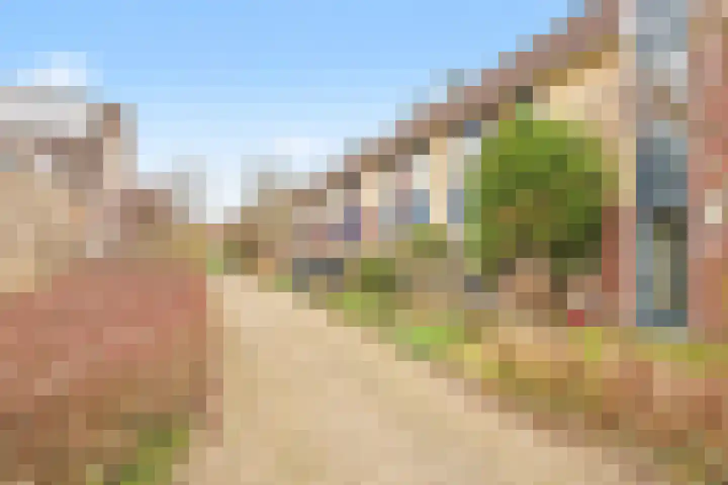 Kraagbeer 9 Heerhugowaard thumbnail 34