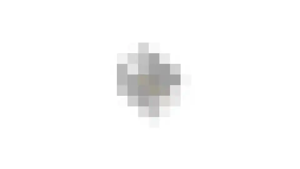 Kraagbeer 9 Heerhugowaard thumbnail 47