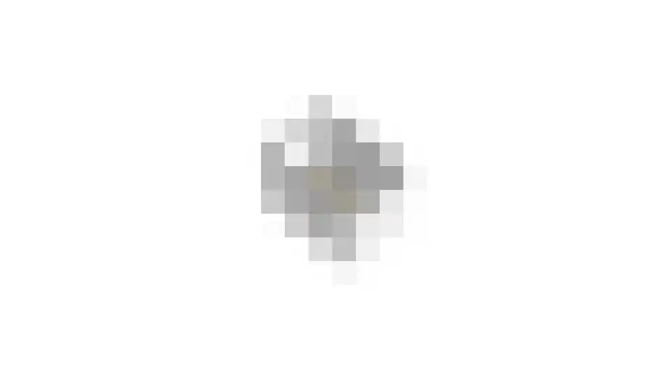 Kraagbeer 9 Heerhugowaard thumbnail 48