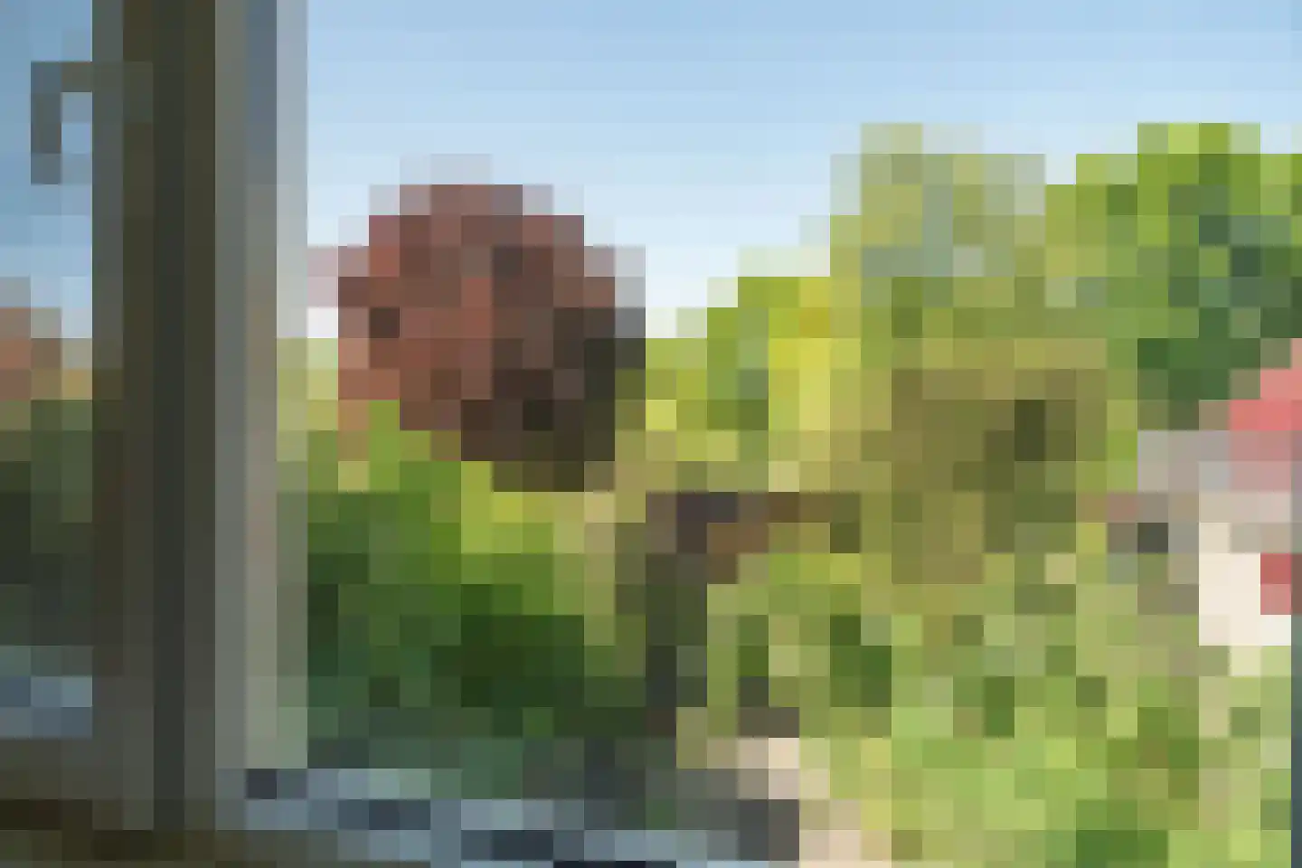 Kraageend 7 Nieuwegein thumbnail 16