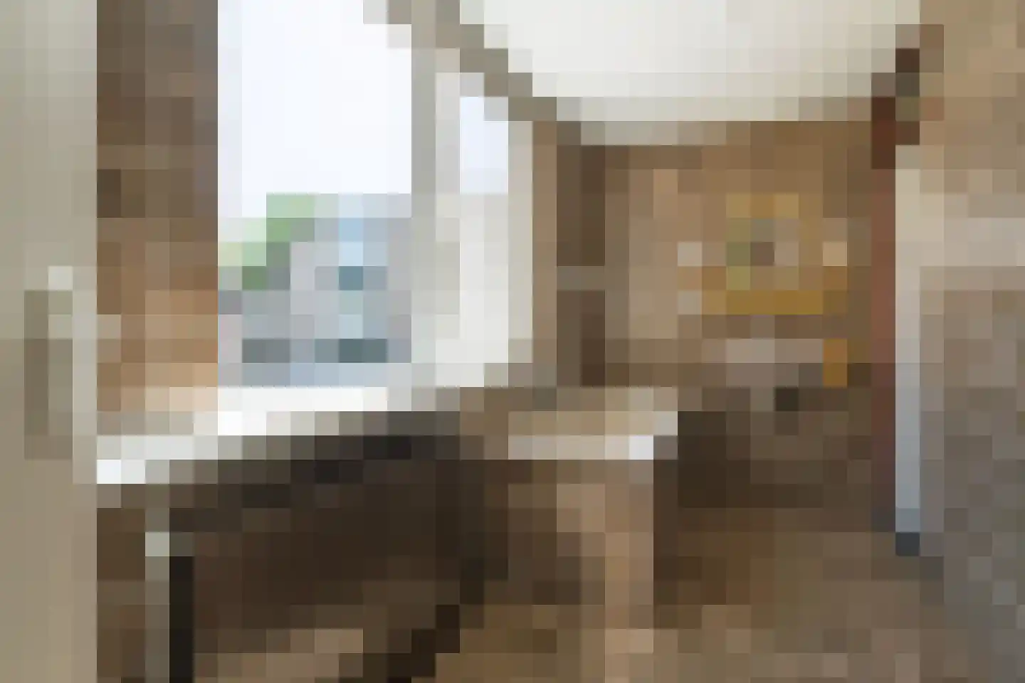 Kraageend 7 Nieuwegein thumbnail 17