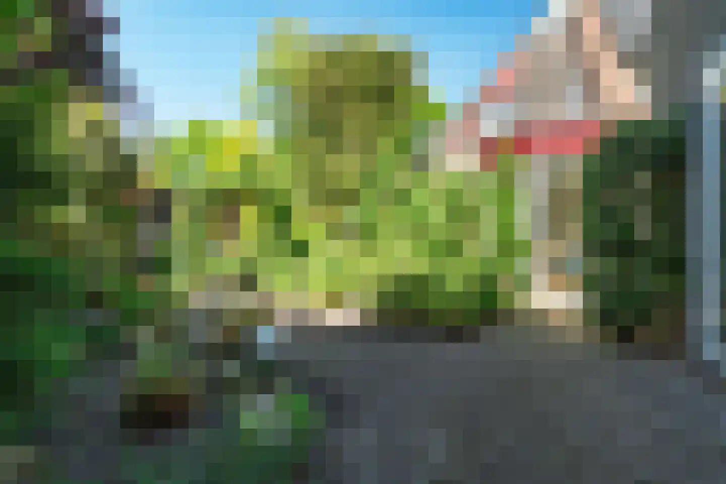 Kraageend 7 Nieuwegein thumbnail 22
