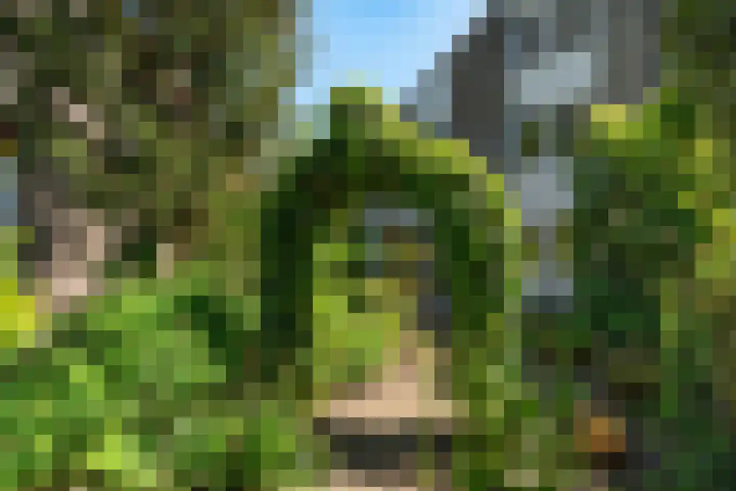 Kraageend 7 Nieuwegein thumbnail 25