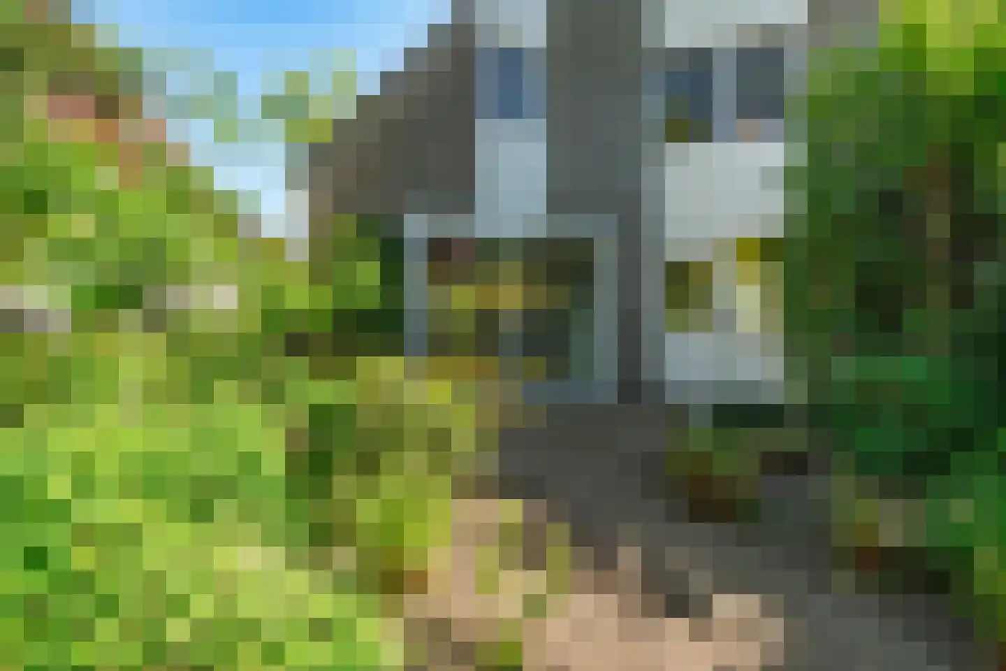 Kraageend 7 Nieuwegein thumbnail 26