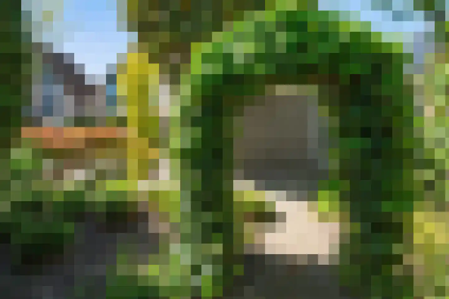 Kraageend 7 Nieuwegein thumbnail 28