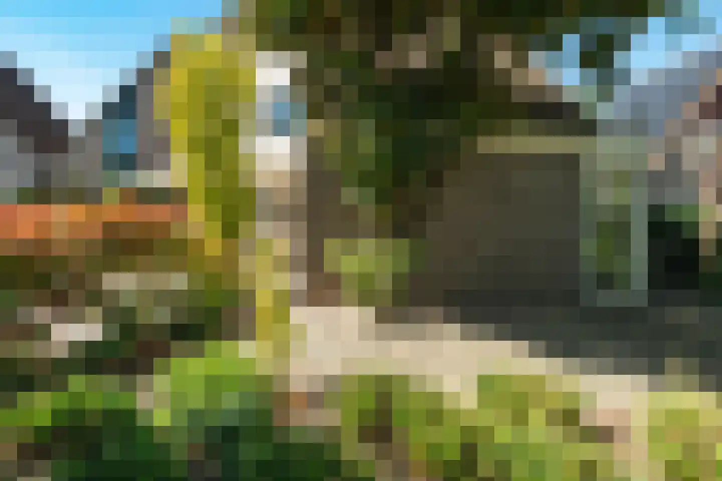 Kraageend 7 Nieuwegein thumbnail 29