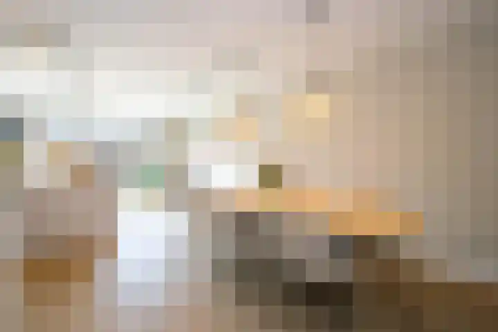 Kraagroos 10 Zevenhuizen thumbnail 13