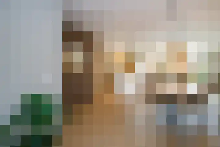 Kraagroos 10 Zevenhuizen thumbnail 15